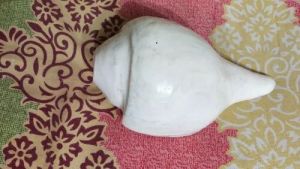 Shankh
